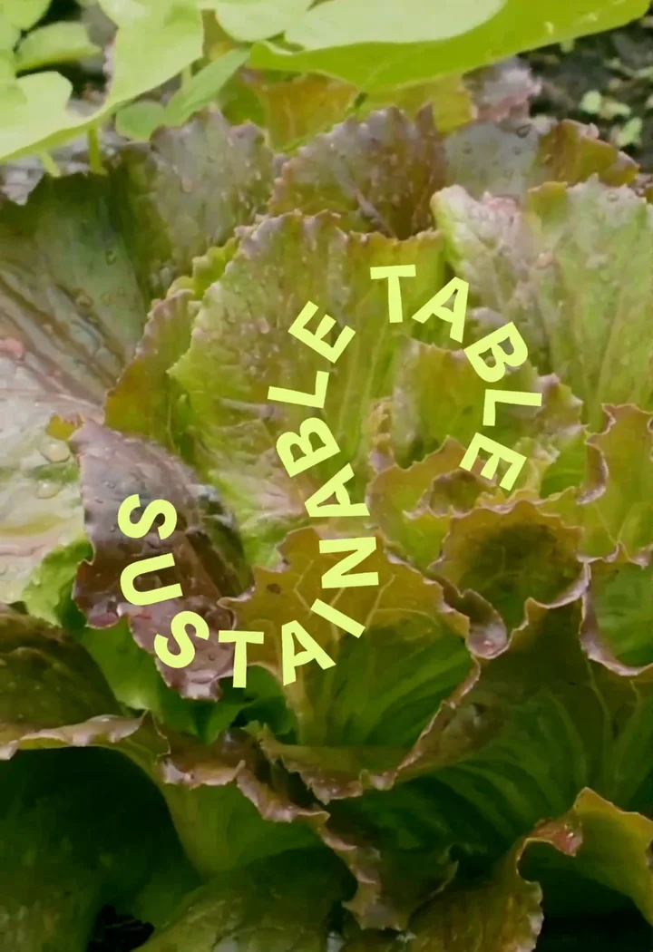 Sustainable Table