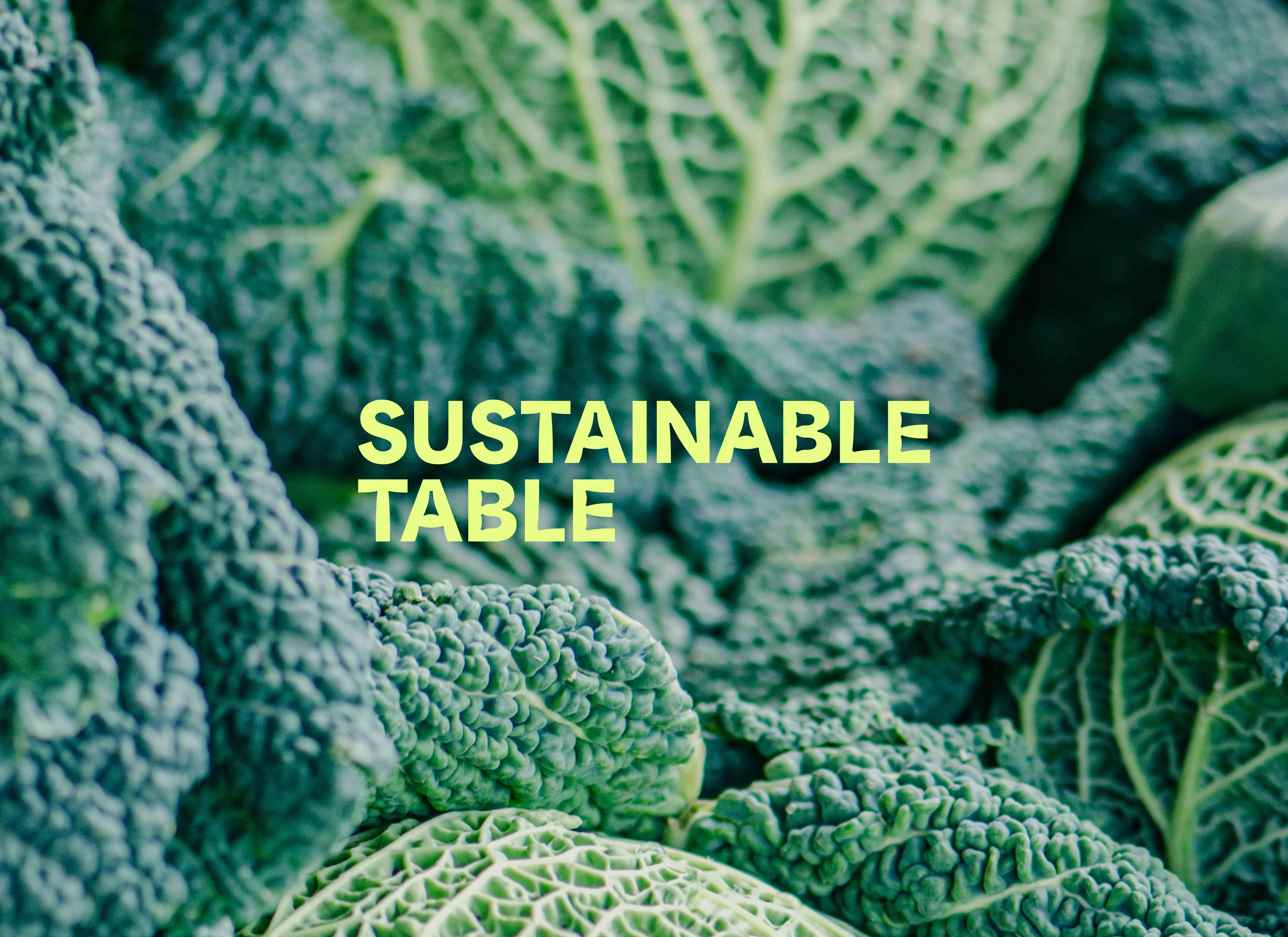 Sustainable Table