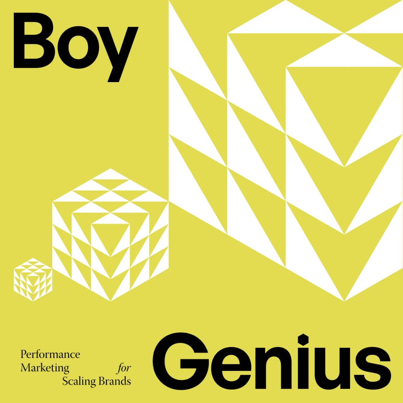 Boy Genius