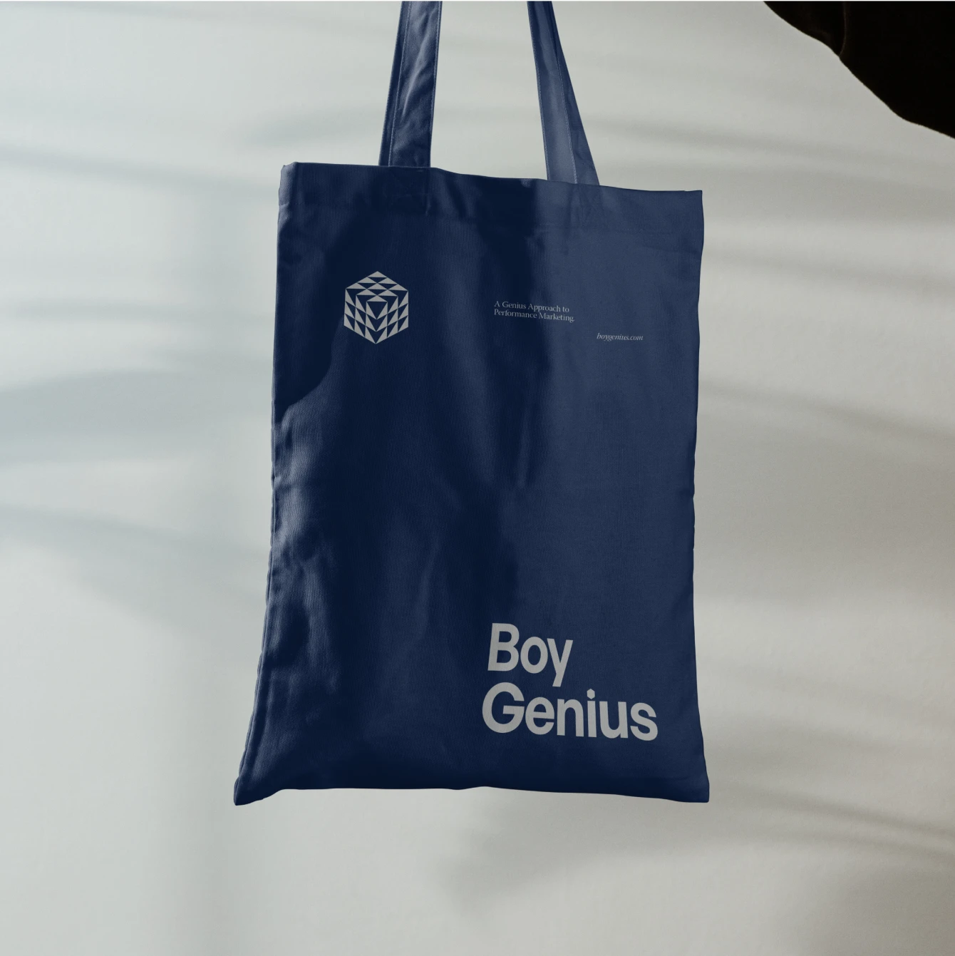 Boy Genius