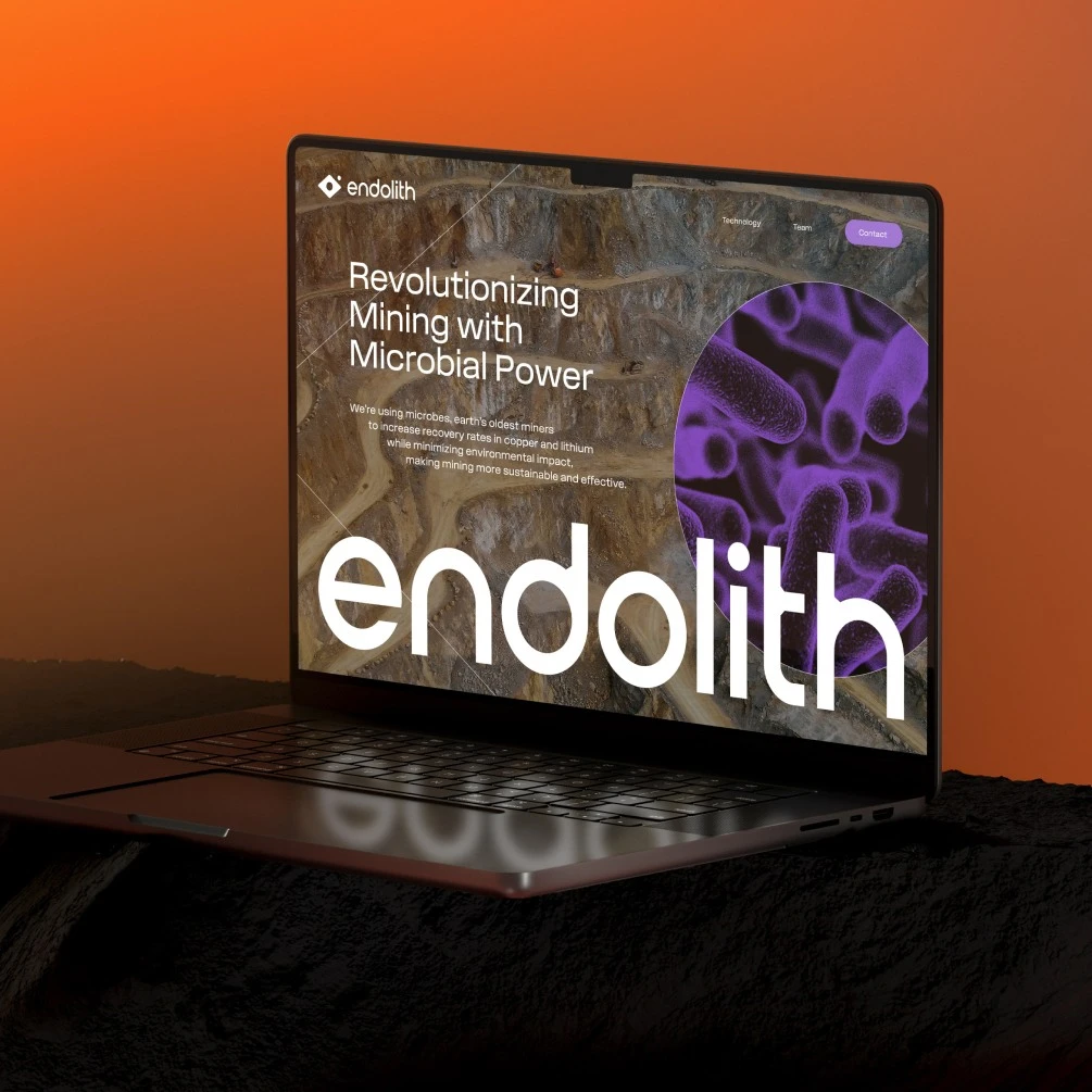Endolith