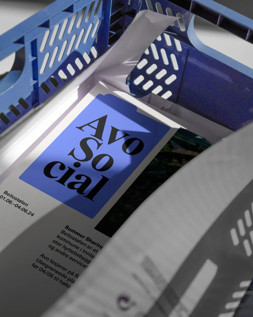 Avo Consulting