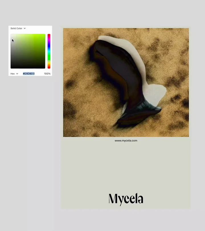 Mycela