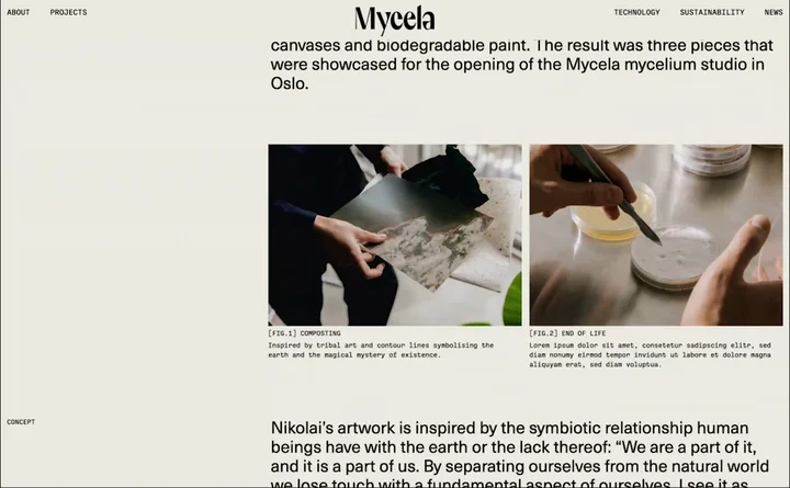 Mycela