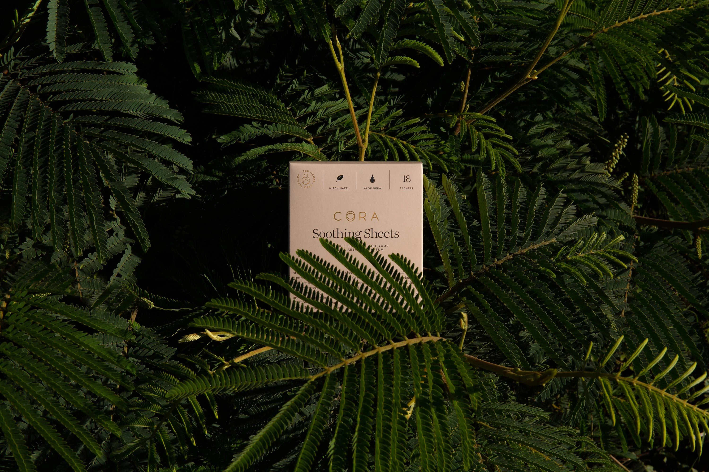 Cora