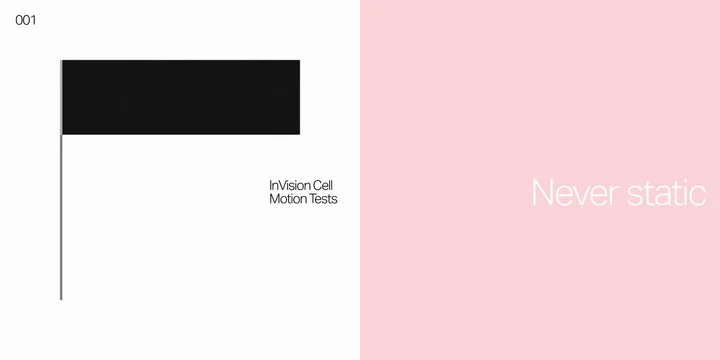 InVision