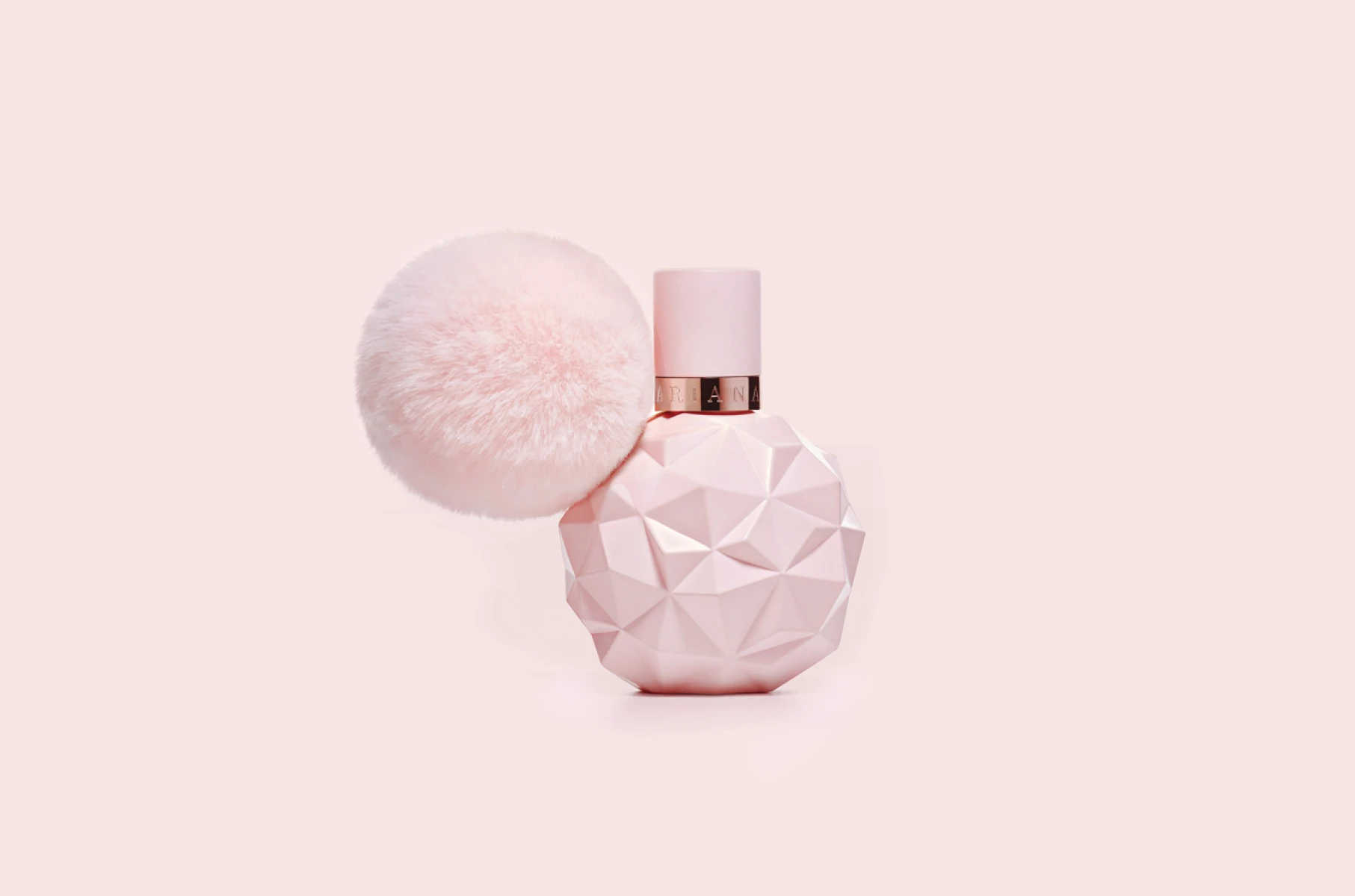 All Fragrance