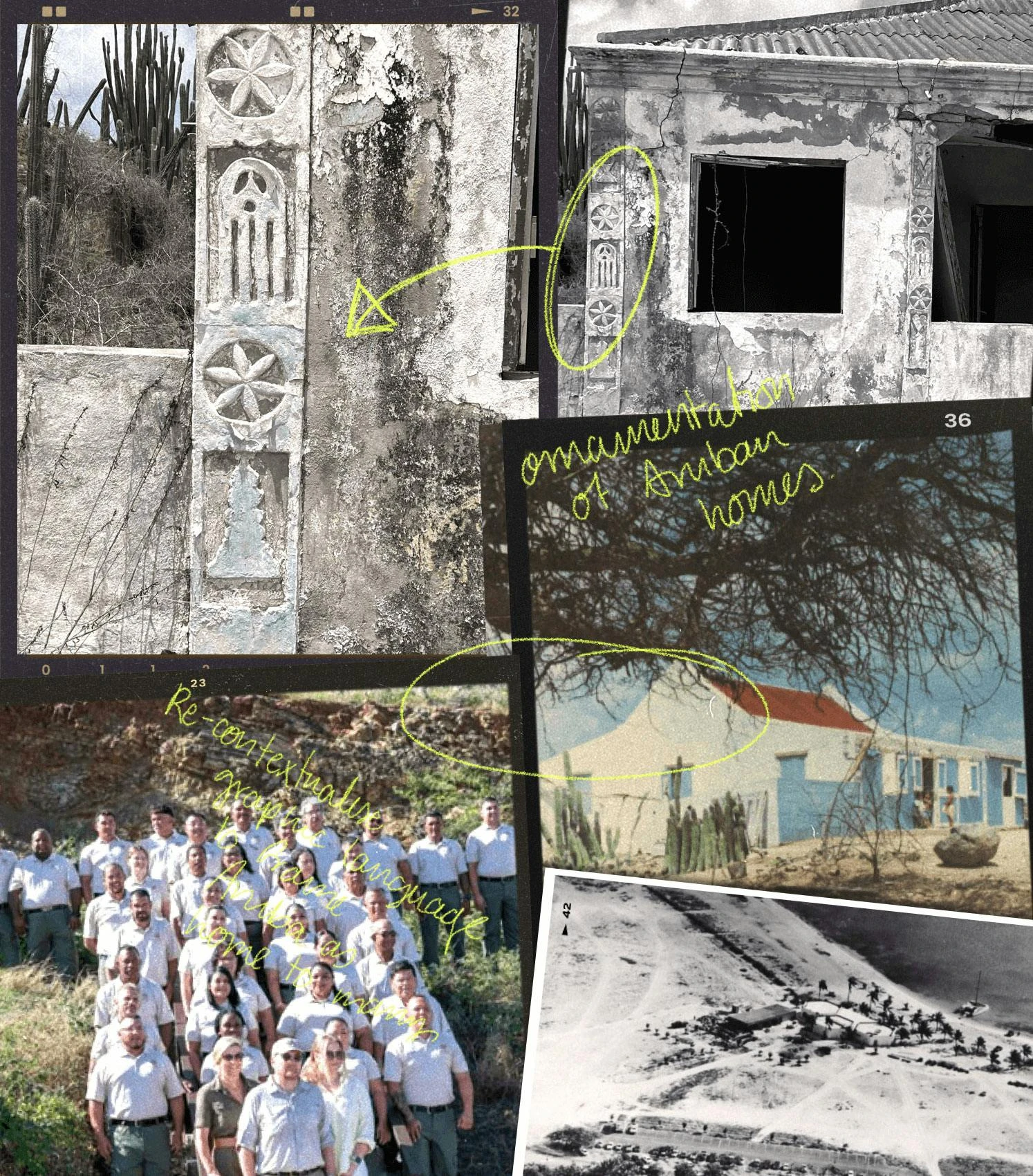 Aruba Conservation Foundation