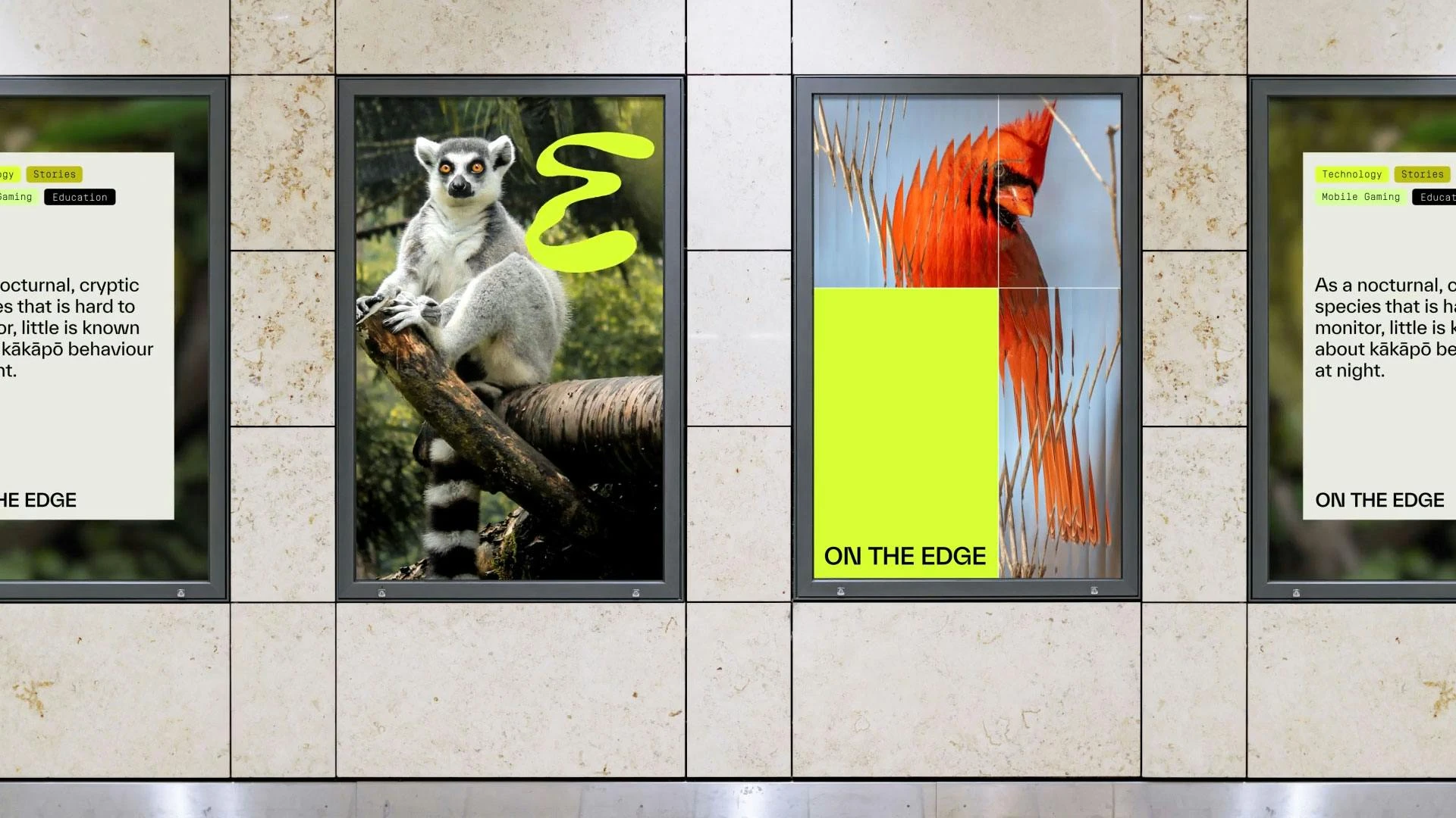 On The Edge Conservation