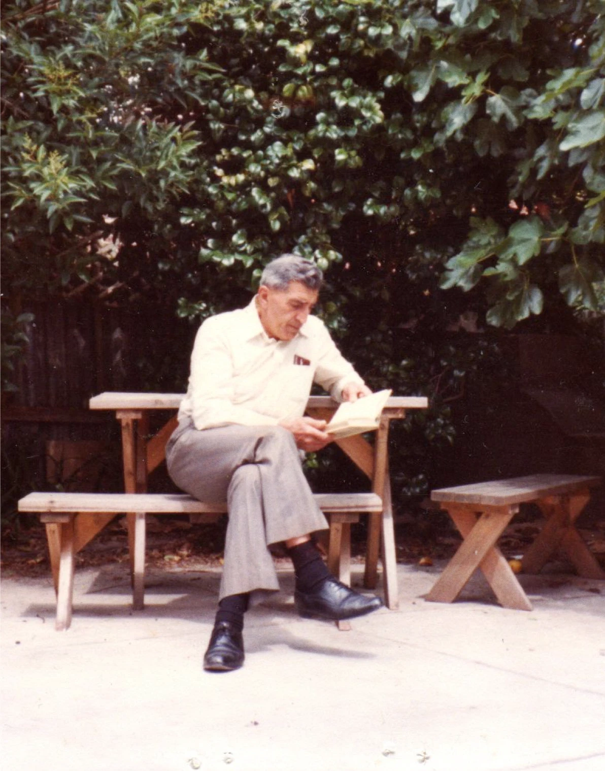 A. B. Natoli
