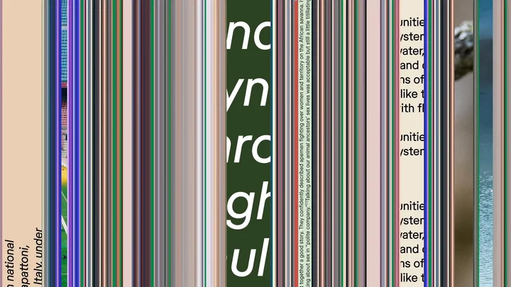 Scribd