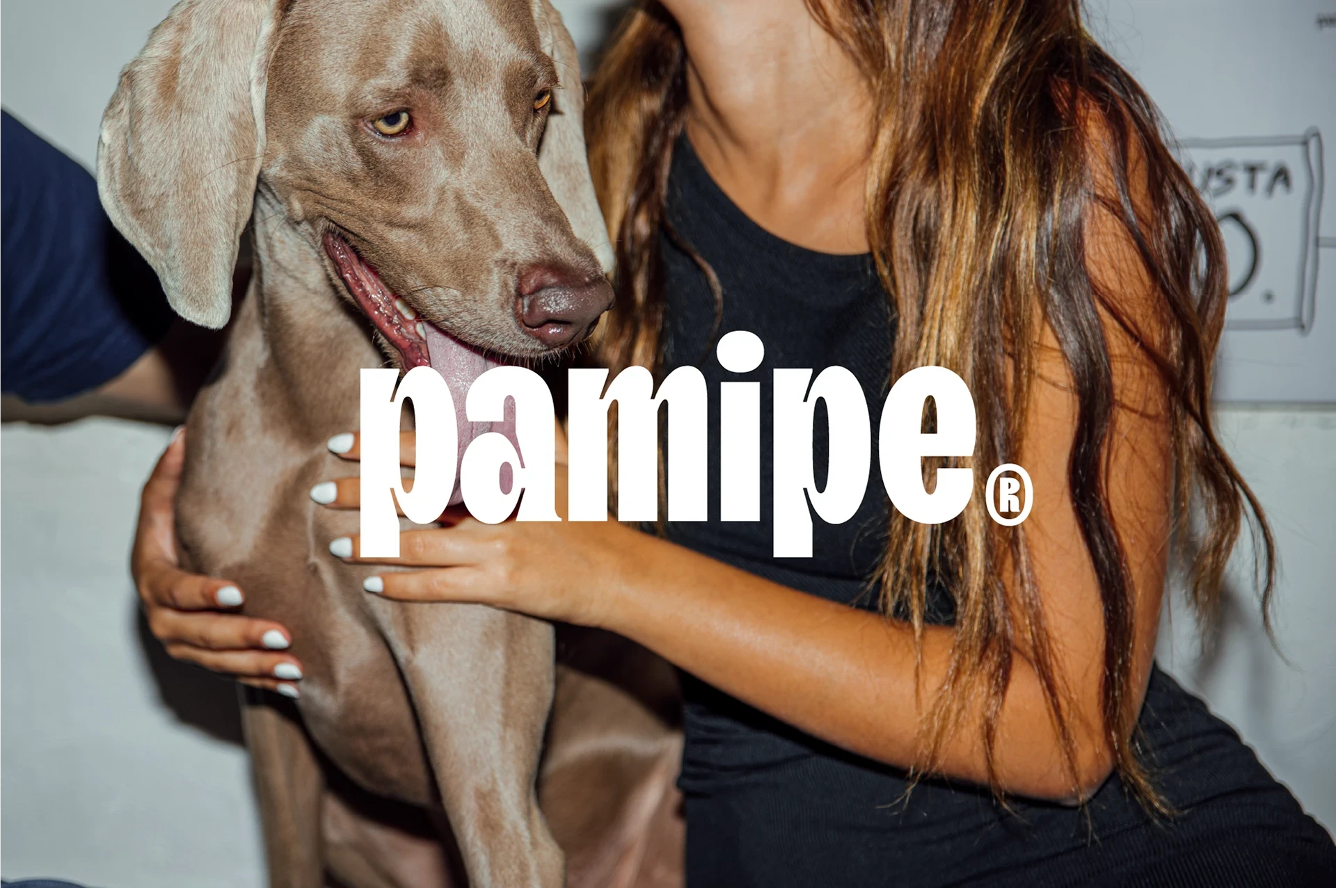 PAMIPE