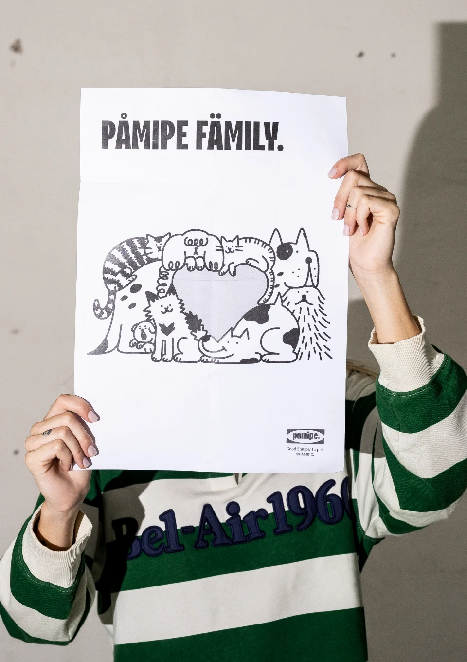 PAMIPE
