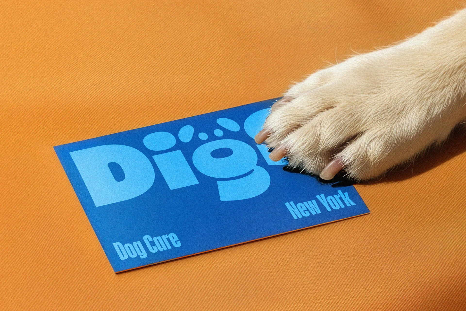 Digs Dog Care