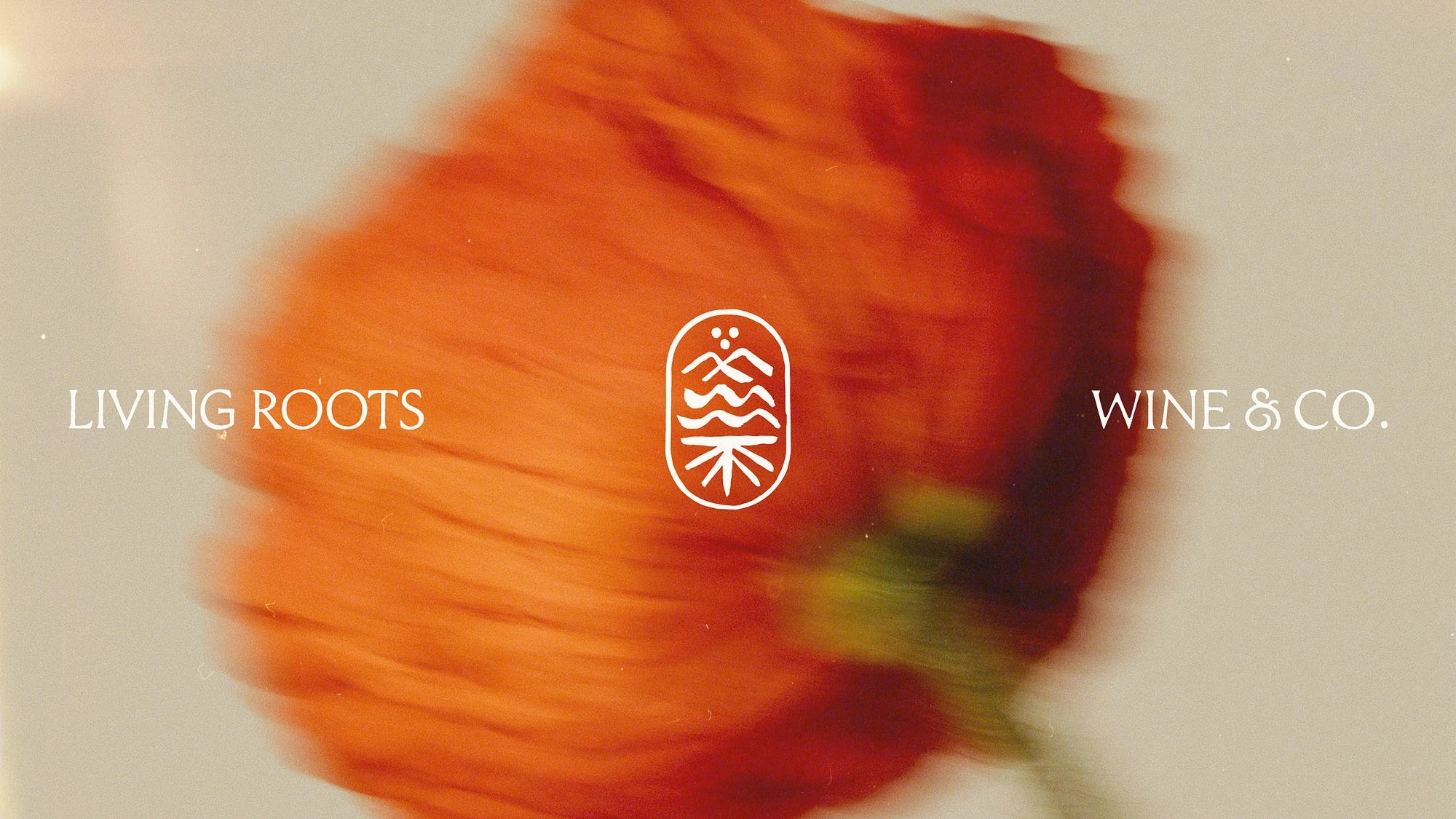 Living Roots Wine & Co.