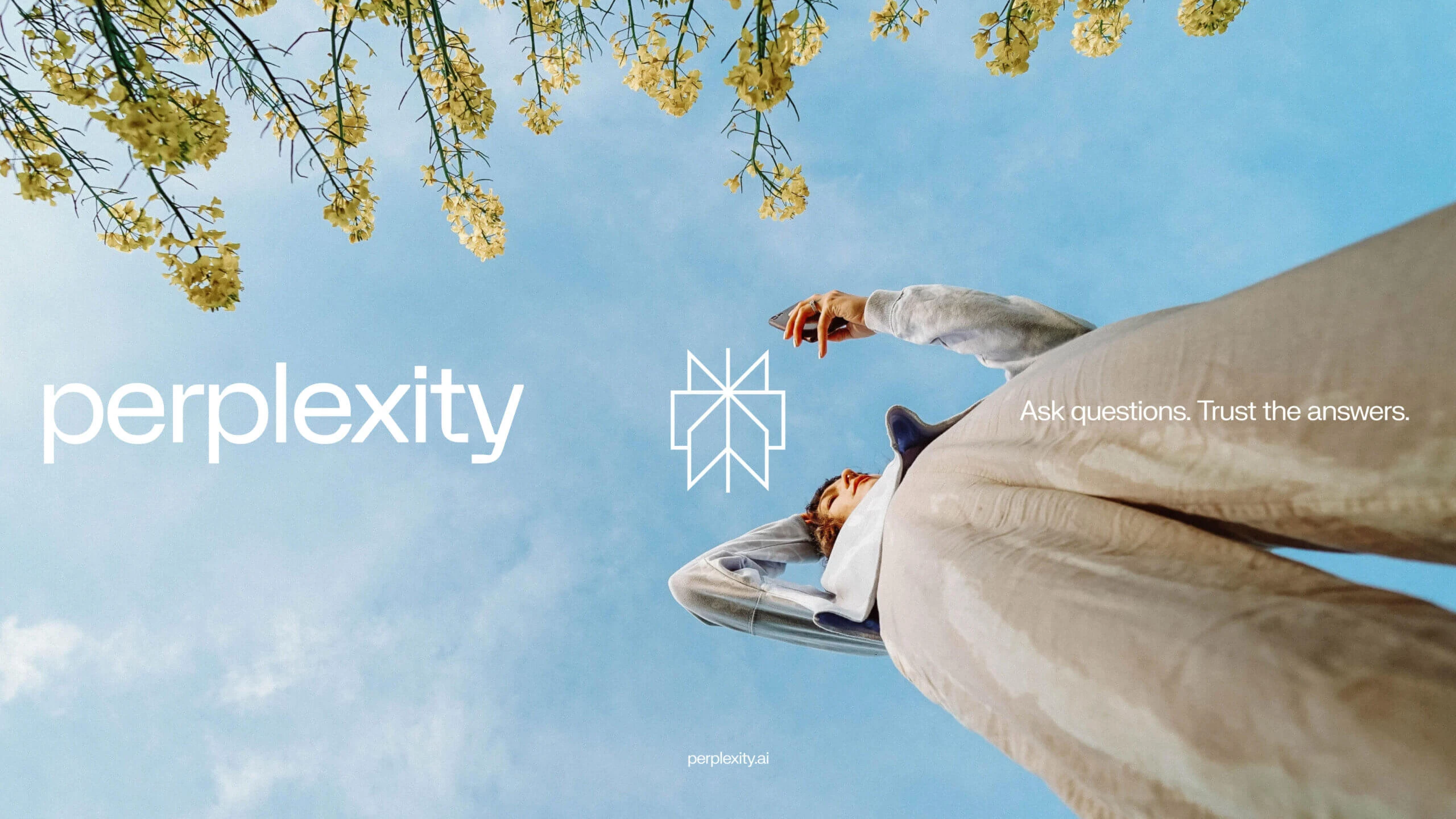 Perplexity