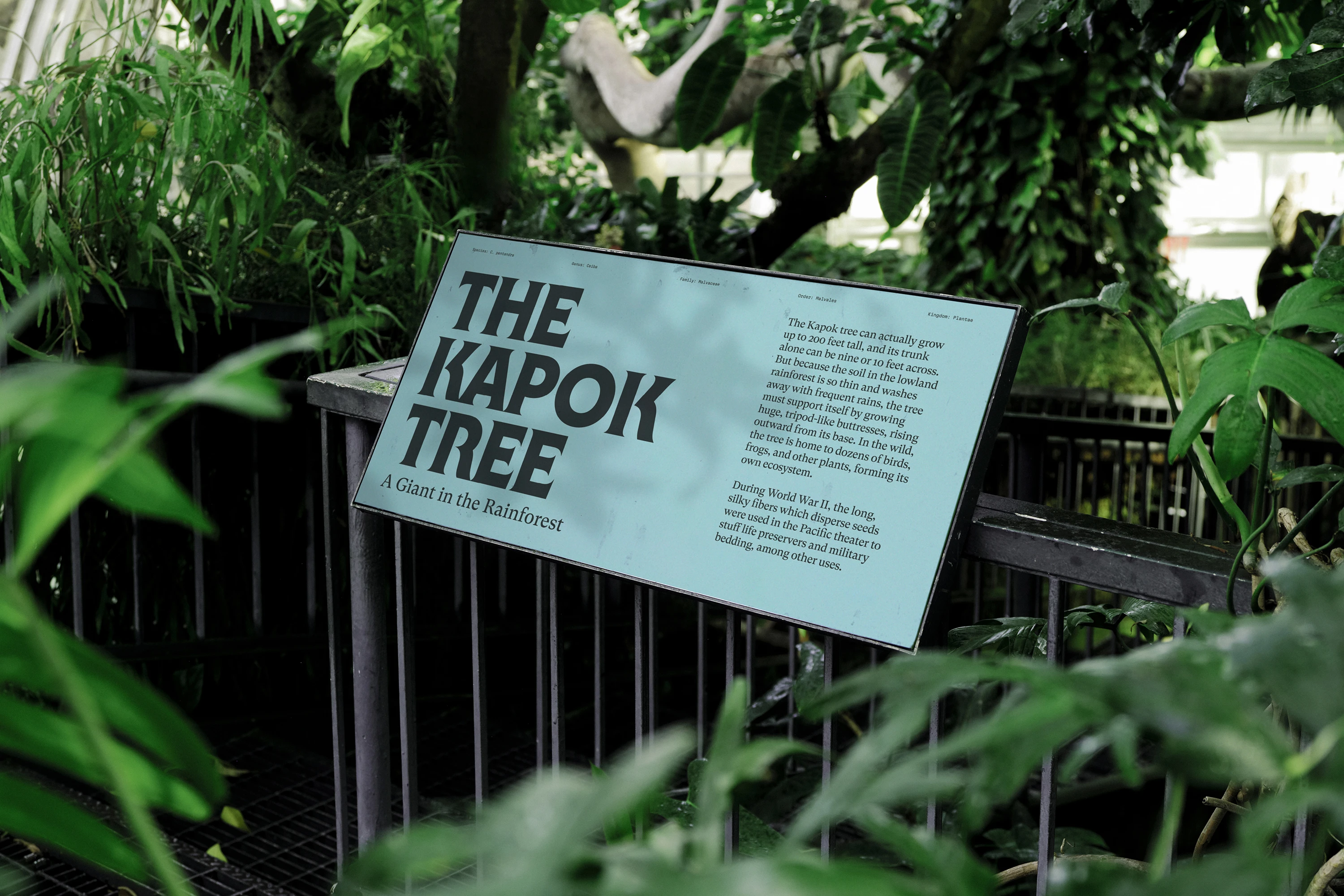 New York Botanical Garden